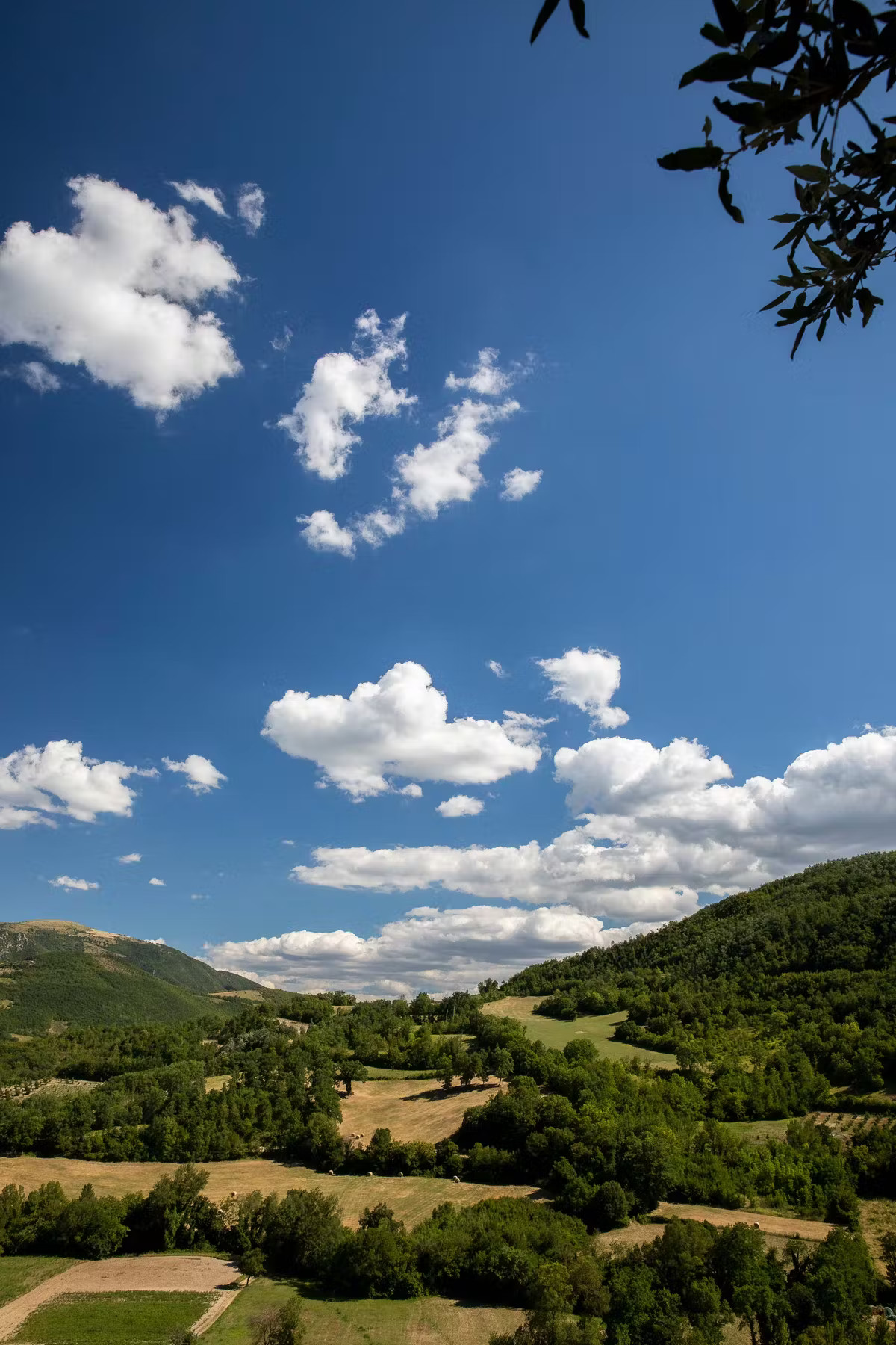Eventi nei dintorni